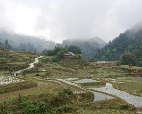 Rice terraces in Sapa, Vietnam