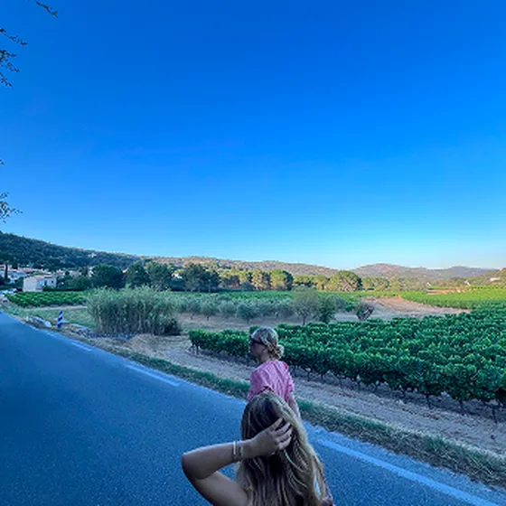 Walking past a vineyard